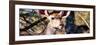 Awesome South Africa Collection Panoramic - Young Impala-Philippe Hugonnard-Framed Photographic Print