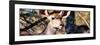 Awesome South Africa Collection Panoramic - Young Impala-Philippe Hugonnard-Framed Photographic Print