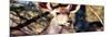 Awesome South Africa Collection Panoramic - Young Impala-Philippe Hugonnard-Mounted Photographic Print