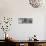 Awesome South Africa Collection Panoramic - Zebra Portrait B&W-Philippe Hugonnard-Stretched Canvas displayed on a wall