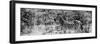 Awesome South Africa Collection Panoramic - Zebra Profile B&W-Philippe Hugonnard-Framed Photographic Print