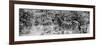 Awesome South Africa Collection Panoramic - Zebra Profile B&W-Philippe Hugonnard-Framed Photographic Print