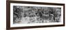 Awesome South Africa Collection Panoramic - Zebra Profile B&W-Philippe Hugonnard-Framed Photographic Print