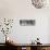 Awesome South Africa Collection Panoramic - Zebra Profile B&W-Philippe Hugonnard-Stretched Canvas displayed on a wall