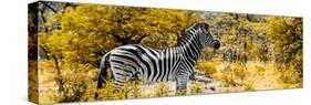 Awesome South Africa Collection Panoramic - Zebra Profile with Yellow Savanna-Philippe Hugonnard-Stretched Canvas