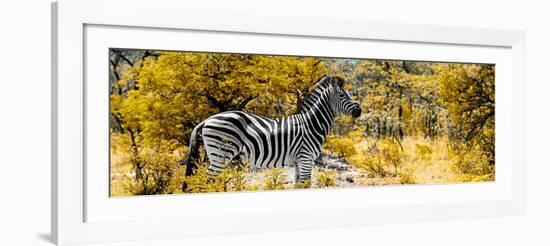 Awesome South Africa Collection Panoramic - Zebra Profile with Yellow Savanna-Philippe Hugonnard-Framed Photographic Print