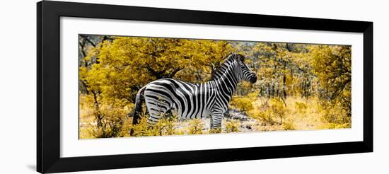 Awesome South Africa Collection Panoramic - Zebra Profile with Yellow Savanna-Philippe Hugonnard-Framed Photographic Print