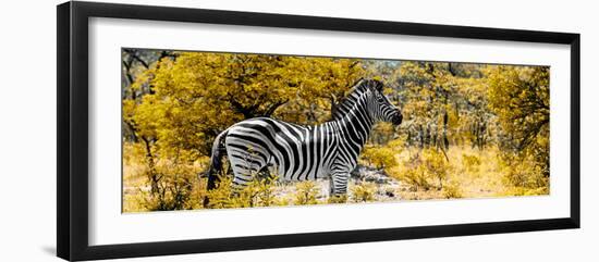 Awesome South Africa Collection Panoramic - Zebra Profile with Yellow Savanna-Philippe Hugonnard-Framed Premium Photographic Print