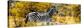 Awesome South Africa Collection Panoramic - Zebra Profile with Yellow Savanna-Philippe Hugonnard-Stretched Canvas