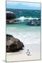 Awesome South Africa Collection - Penguin at Boulders Beach-Philippe Hugonnard-Mounted Photographic Print