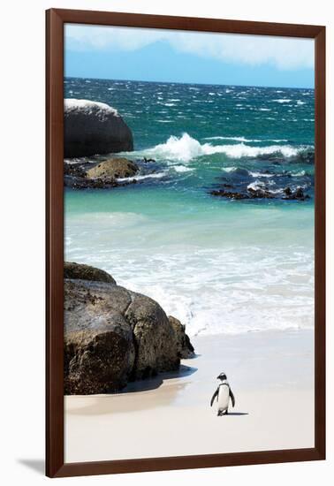 Awesome South Africa Collection - Penguin at Boulders Beach-Philippe Hugonnard-Framed Photographic Print