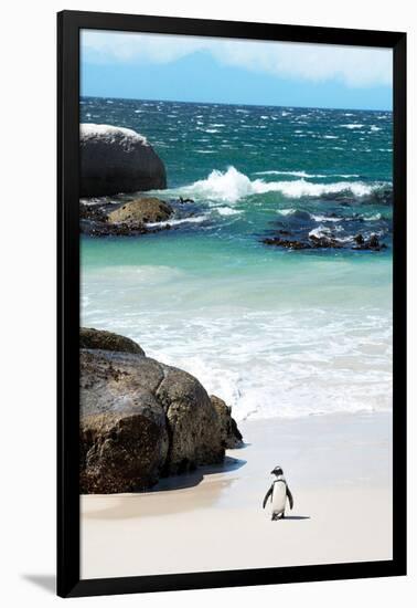 Awesome South Africa Collection - Penguin at Boulders Beach-Philippe Hugonnard-Framed Photographic Print