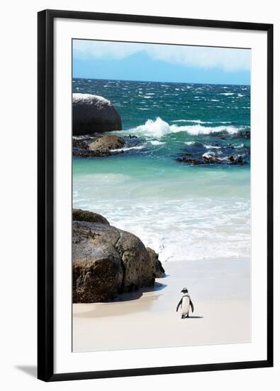 Awesome South Africa Collection - Penguin at Boulders Beach-Philippe Hugonnard-Framed Photographic Print