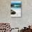 Awesome South Africa Collection - Penguin at Boulders Beach-Philippe Hugonnard-Stretched Canvas displayed on a wall