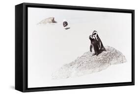 Awesome South Africa Collection - Penguin Lovers II-Philippe Hugonnard-Framed Stretched Canvas