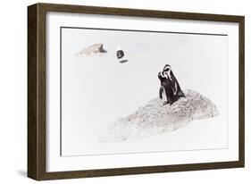 Awesome South Africa Collection - Penguin Lovers II-Philippe Hugonnard-Framed Photographic Print