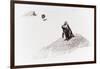 Awesome South Africa Collection - Penguin Lovers II-Philippe Hugonnard-Framed Photographic Print