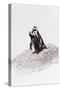 Awesome South Africa Collection - Penguin Lovers IV-Philippe Hugonnard-Stretched Canvas