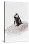 Awesome South Africa Collection - Penguin Lovers IV-Philippe Hugonnard-Stretched Canvas