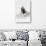 Awesome South Africa Collection - Penguin Lovers IV-Philippe Hugonnard-Photographic Print displayed on a wall