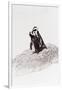 Awesome South Africa Collection - Penguin Lovers IV-Philippe Hugonnard-Framed Photographic Print