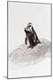 Awesome South Africa Collection - Penguin Lovers IV-Philippe Hugonnard-Mounted Photographic Print