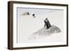 Awesome South Africa Collection - Penguin Lovers-Philippe Hugonnard-Framed Photographic Print