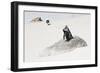 Awesome South Africa Collection - Penguin Lovers-Philippe Hugonnard-Framed Photographic Print