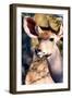 Awesome South Africa Collection - Portrait of a Female Nyala Antelope-Philippe Hugonnard-Framed Photographic Print