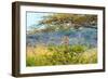 Awesome South Africa Collection - Portrait of Giraffe Peering through Tree-Philippe Hugonnard-Framed Photographic Print