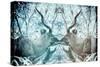 Awesome South Africa Collection - Reflection of Greater Kudu - Aquamarine & Grey-Philippe Hugonnard-Stretched Canvas