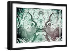 Awesome South Africa Collection - Reflection of Greater Kudu - Coral Green & Dimgray-Philippe Hugonnard-Framed Photographic Print