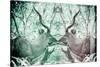 Awesome South Africa Collection - Reflection of Greater Kudu - Coral Green & Dimgray-Philippe Hugonnard-Stretched Canvas