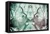 Awesome South Africa Collection - Reflection of Greater Kudu - Coral Green & Dimgray-Philippe Hugonnard-Framed Stretched Canvas