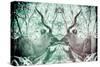 Awesome South Africa Collection - Reflection of Greater Kudu - Coral Green & Dimgray-Philippe Hugonnard-Stretched Canvas