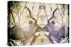 Awesome South Africa Collection - Reflection of Greater Kudu - Honey & Mauve-Philippe Hugonnard-Stretched Canvas