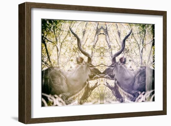 Awesome South Africa Collection - Reflection of Greater Kudu - Honey & Mauve-Philippe Hugonnard-Framed Photographic Print