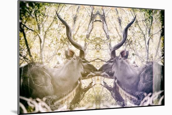 Awesome South Africa Collection - Reflection of Greater Kudu - Honey & Mauve-Philippe Hugonnard-Mounted Photographic Print