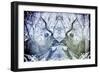 Awesome South Africa Collection - Reflection of Greater Kudu - Powder Blue & Grey-Philippe Hugonnard-Framed Photographic Print