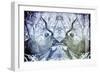 Awesome South Africa Collection - Reflection of Greater Kudu - Powder Blue & Grey-Philippe Hugonnard-Framed Photographic Print