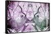 Awesome South Africa Collection - Reflection of Greater Kudu - Purple & Grey-Philippe Hugonnard-Framed Stretched Canvas