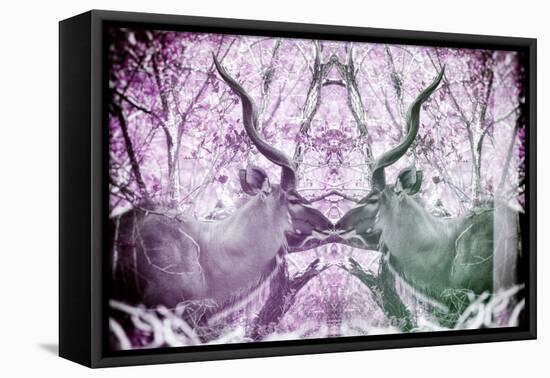 Awesome South Africa Collection - Reflection of Greater Kudu - Purple & Grey-Philippe Hugonnard-Framed Stretched Canvas