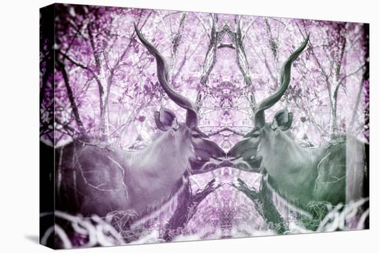 Awesome South Africa Collection - Reflection of Greater Kudu - Purple & Grey-Philippe Hugonnard-Stretched Canvas