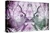 Awesome South Africa Collection - Reflection of Greater Kudu - Purple & Grey-Philippe Hugonnard-Stretched Canvas