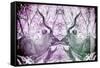 Awesome South Africa Collection - Reflection of Greater Kudu - Purple & Grey-Philippe Hugonnard-Framed Stretched Canvas