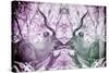 Awesome South Africa Collection - Reflection of Greater Kudu - Purple & Grey-Philippe Hugonnard-Stretched Canvas