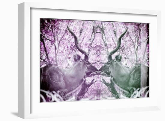 Awesome South Africa Collection - Reflection of Greater Kudu - Purple & Grey-Philippe Hugonnard-Framed Photographic Print