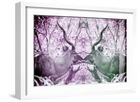 Awesome South Africa Collection - Reflection of Greater Kudu - Purple & Grey-Philippe Hugonnard-Framed Photographic Print
