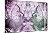 Awesome South Africa Collection - Reflection of Greater Kudu - Purple & Grey-Philippe Hugonnard-Mounted Photographic Print