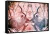 Awesome South Africa Collection - Reflection of Greater Kudu - Red & Dimgray-Philippe Hugonnard-Framed Stretched Canvas